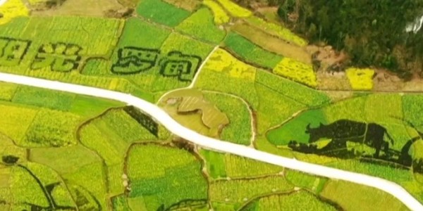 土地的涅槃｜全域土地綜合整治為何爆火？設(shè)計(jì)院如何搶占風(fēng)口？